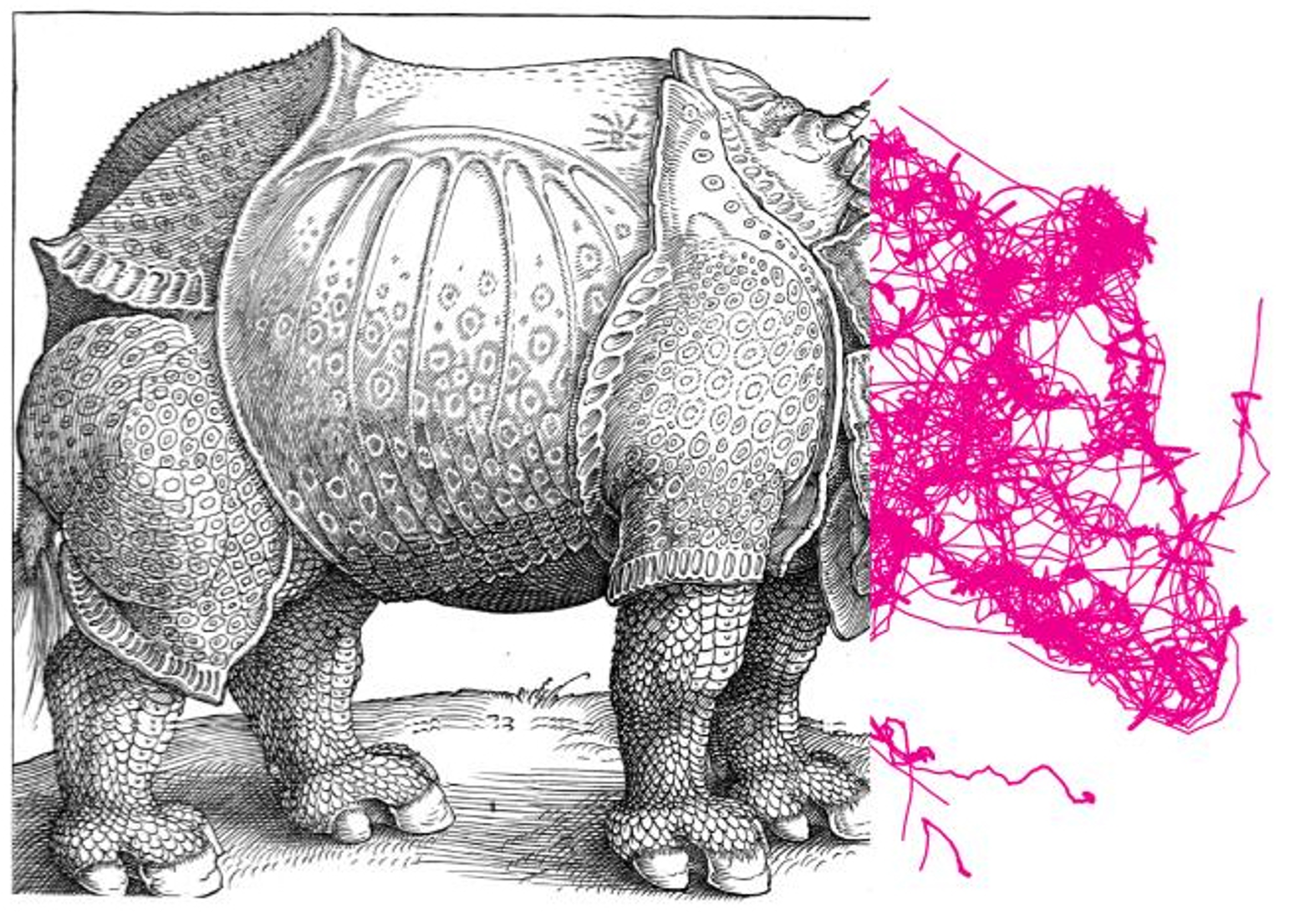 Art Encounters Rhino