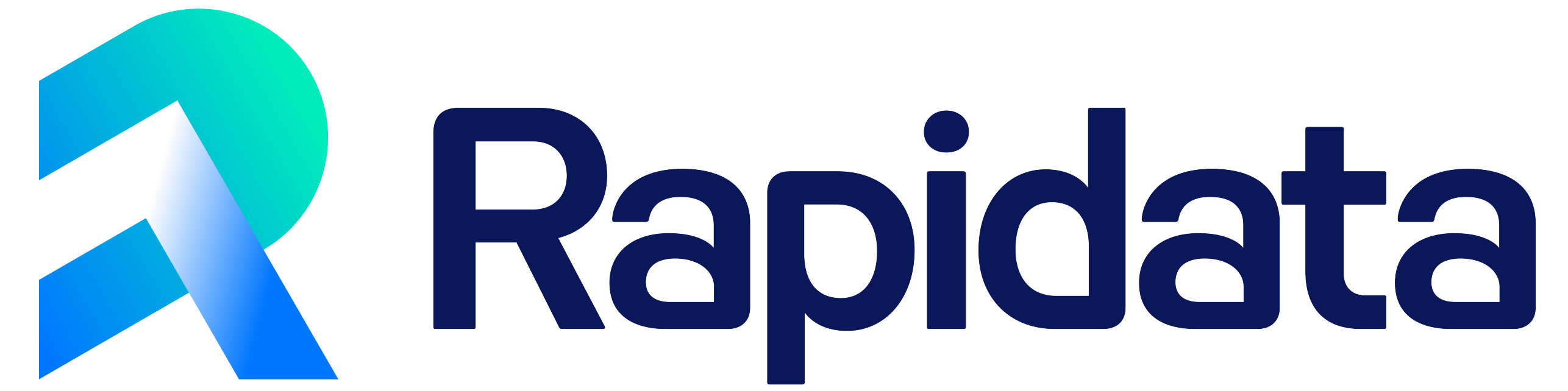 RapidataLogo